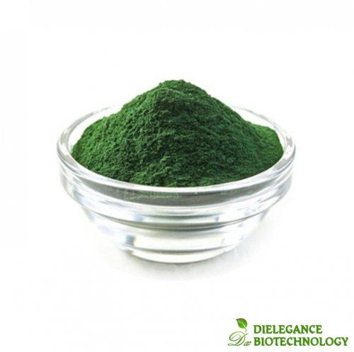 Poudre de chlorella en vrac en gros