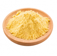 Pure Ginger Extract Powder