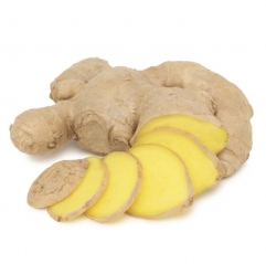 Pure Ginger Extract Powder