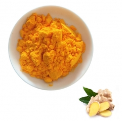 Ginger Root Extract 5% Gingerol Powder