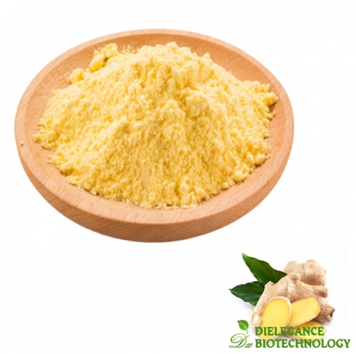 Pure Ginger Extract Powder