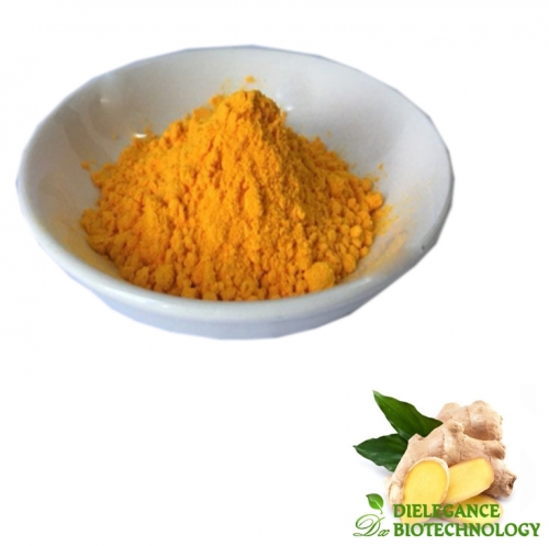 Wholesale Ginger Root Extract Gingerols Powder