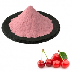Bulk Acerola Cherry Extract Powder at Wholesale Price