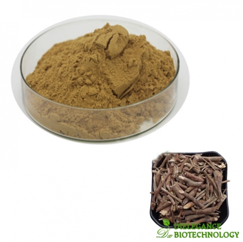 Berberis Vulgaris Extract Barberry Powder