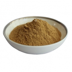 Phlomis Umbrosa Extract Powder