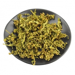 Penthorum Chinense Pursh Extract