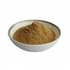 Pure Cissus Quadrangularis Extract Powder for Weight Loss