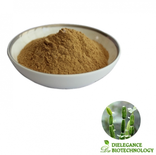 Pure Cissus Quadrangularis Extract Powder for Weight Loss