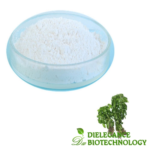 Huperzia Serrata Leaf Extract Huperzine A Powder