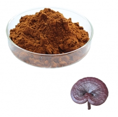 Ganoderma Lucidum Extract Powder
