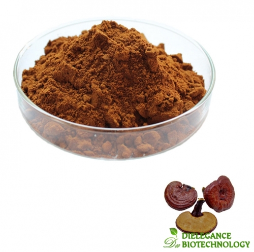 Organic Reishi Spore Powder