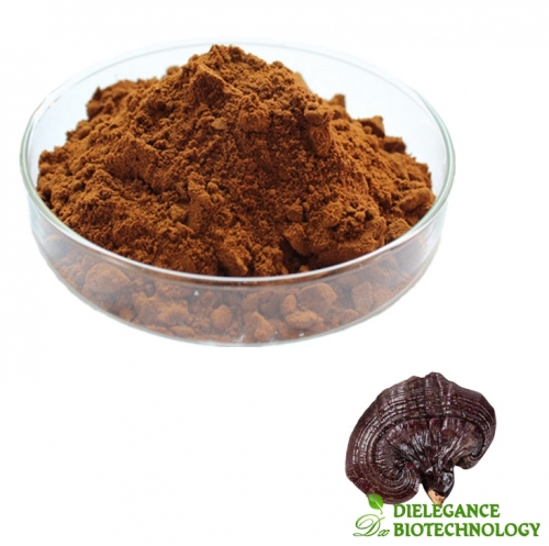 Organic Reishi Mushroom Extract Powder