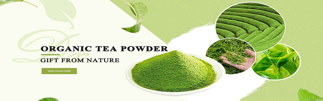 organic Matcha Green Tea Powder Wholesale