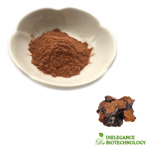 Chaga Mushroom Extract Powder