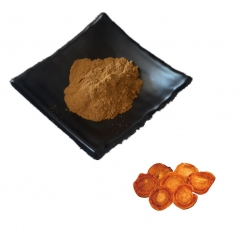 Antrodia Camphorata Extract