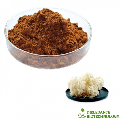 Cauliflower Mushroom Extract Beta Glucan