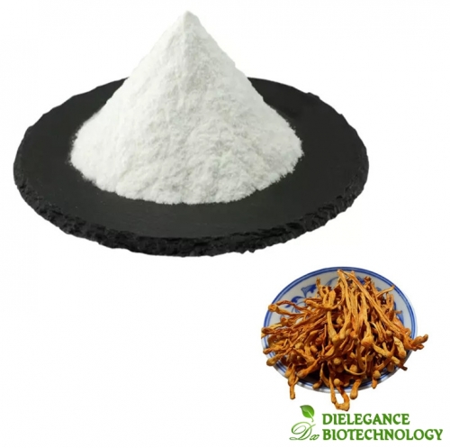 Cordyceps Militaris Extract Cordycepin Powder