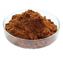 Armillaria Mellea Extract Powder