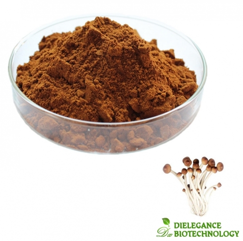 Agrocybe Chaxingu Extract