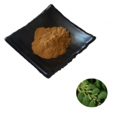 Salvadora Persica Extract