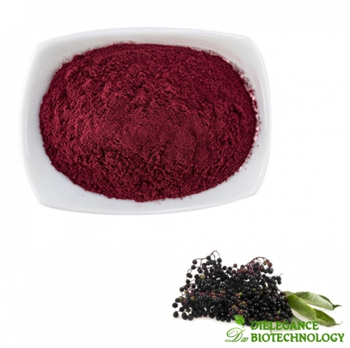 Black Elderberry Extract