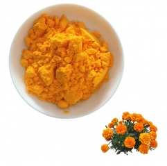 Marigold Extract Lutein