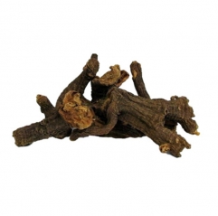 Gentian Scabra Root Extract