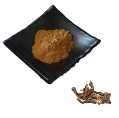 Gentian Scabra Root Extract