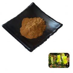 Mullein Flower Extract Powder