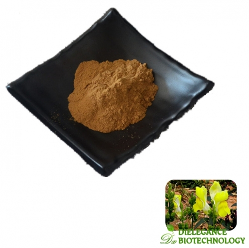 Mullein Flower Extract Powder