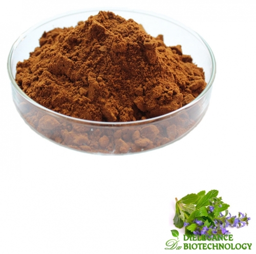 Ajuga Turkestanica Extract