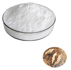 Natural Functional Oligosaccharide Stachyose Powder for Food Additives