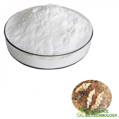 Natural Functional Oligosaccharide Stachyose Powder for Food Additives