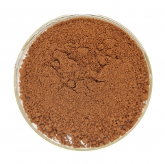 Camu Camu Extract Powder