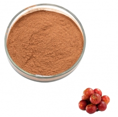 Camu Camu Fruit Extract