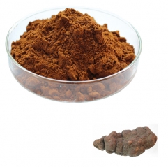 Polygonum Multiflorum Root Extract Powder
