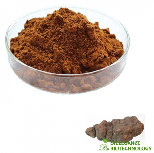 Polygonum Multiflorum Root Extract Powder