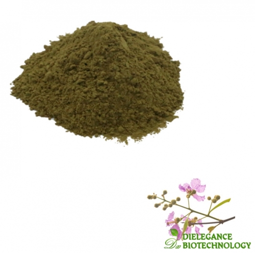 Banaba Extract 10% Corosolic Acid Powder