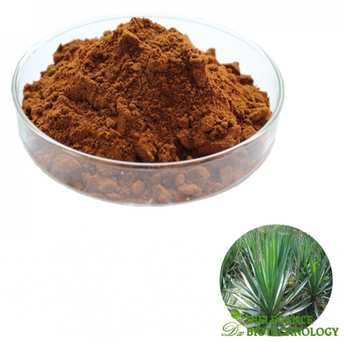 Yucca Schidigera Extract