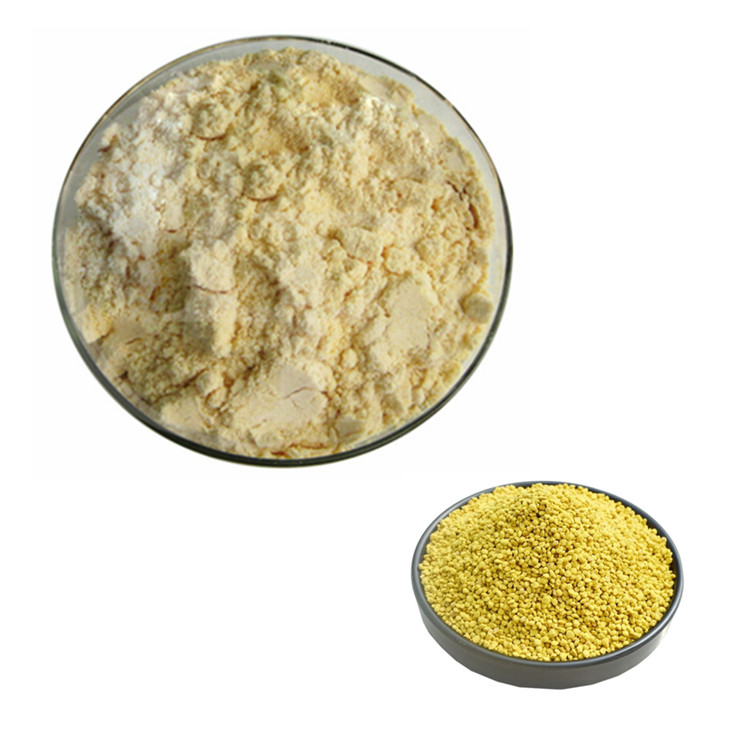 Bee Pollen Powder Benefits | Bulk Wholesale Supplier and Manufacturer of Bee Pollen Powder