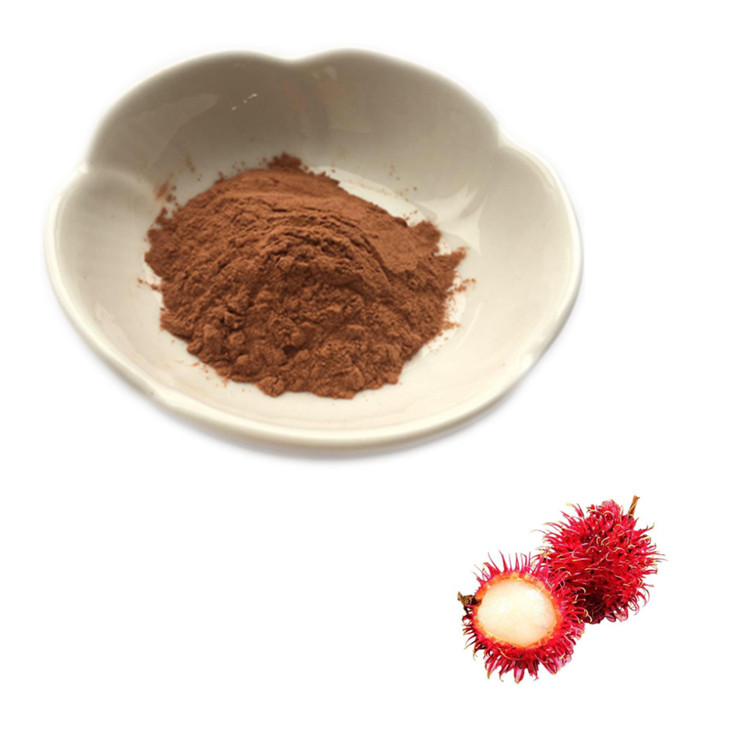 Rambutan Peel Extract (Nephelium Lappaceum Peel) | Bulk Wholesale Supplier and Manufacturer of Rambutan Peel Extract