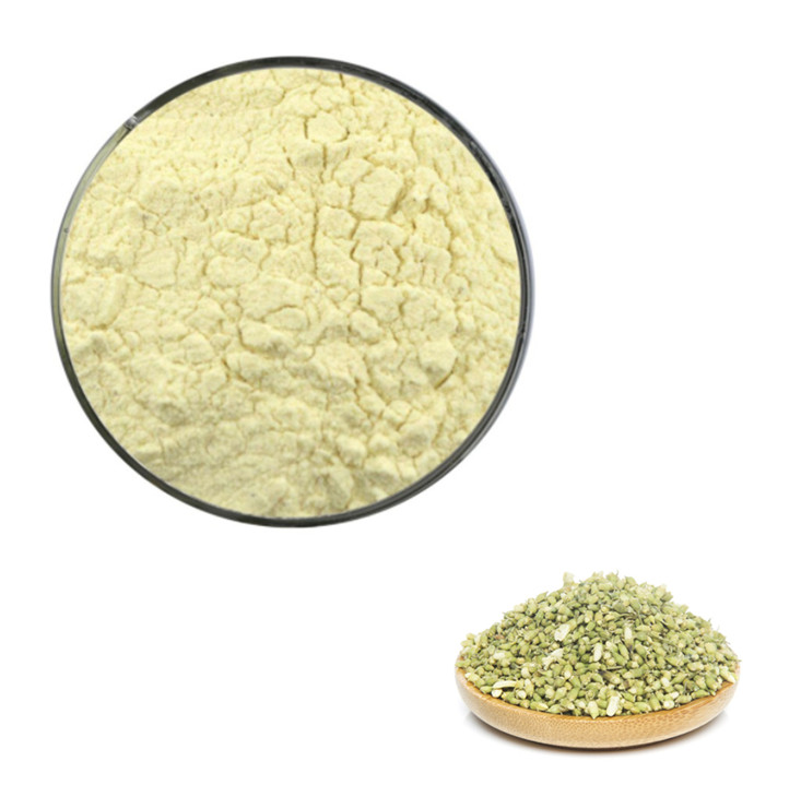 Sophora Japonica Extract Rutin | Bulk Wholesale Supplier and Manufacturer of Best Rutin Powder