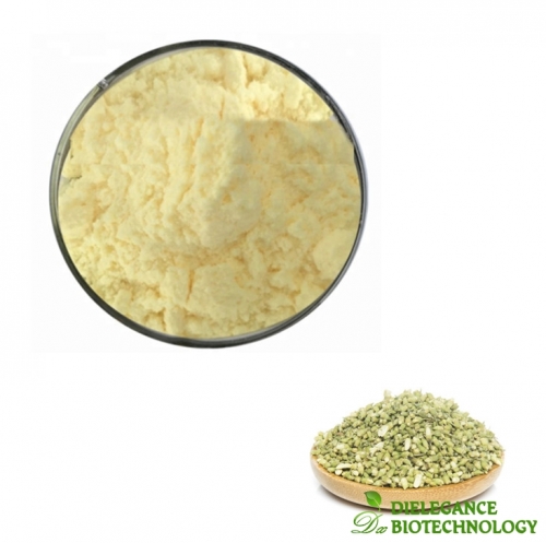 Sophora Japonica Extract Rutin Powder