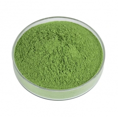 Poudre de Matcha de cérémonie biologique en vrac