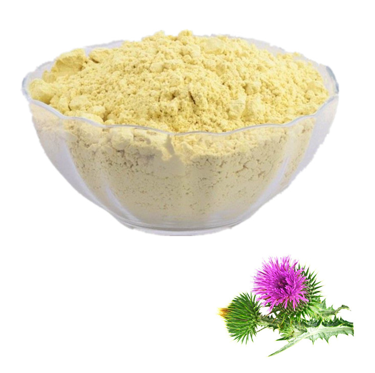 Milk Thistle Extract Benefits | Milk Thistle Extract Supplier & Manufacturer