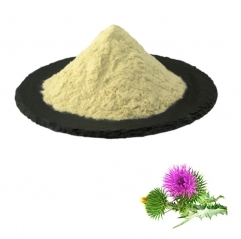 Milk Thistle Extract