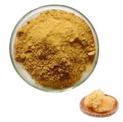 Tremella Fuciformis Extract