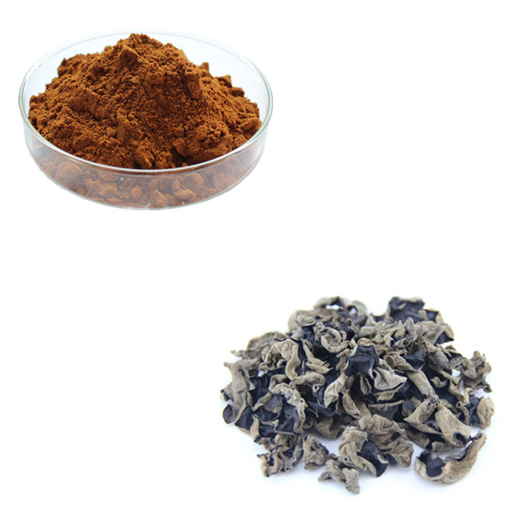 Black Fungus Extract Benefits | Black Fungus Powder Supplier & Manufacturer