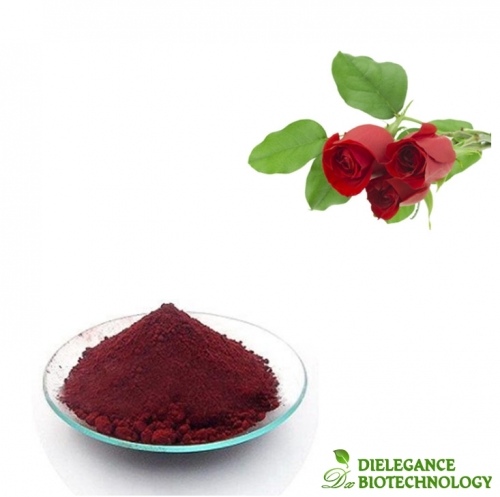 Pure Organic Food Grade Rose Petal Powder Flower Ingredients