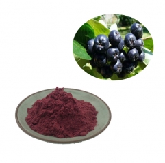 Pure Aronia Berry Extract Chokeberry Fruit Powder Anthocyanin